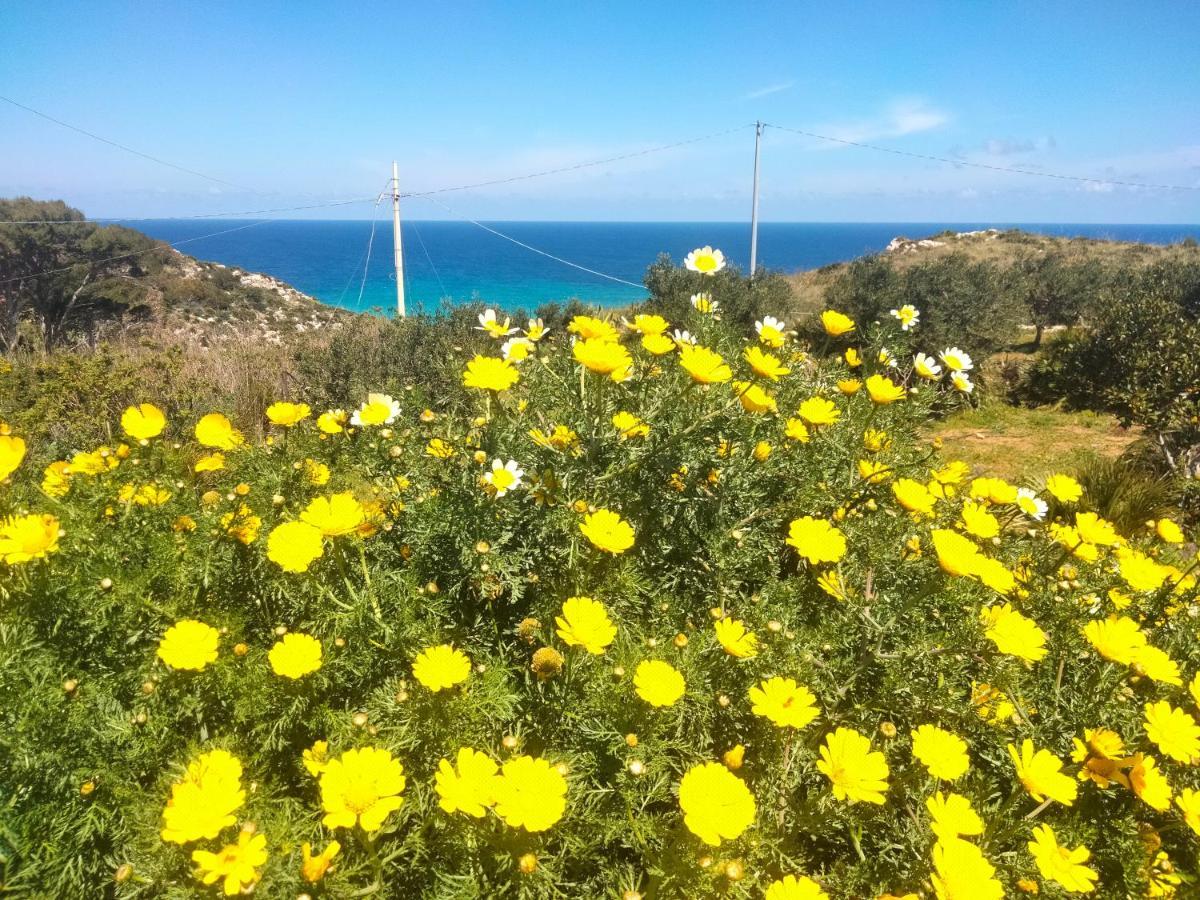 Готель Cala Rossa Кастелламмаре-дель-Гольфо Екстер'єр фото